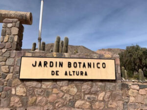 jardin botanico de altura tilcara jujuy