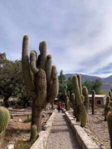 jardin botanico pucara de tilcara