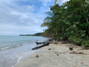 playa blanca pn cahuita