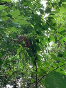 parque nacional manuel antonio